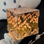 چراغ خواب دشت لاله مکعبی بی‌نهایت
